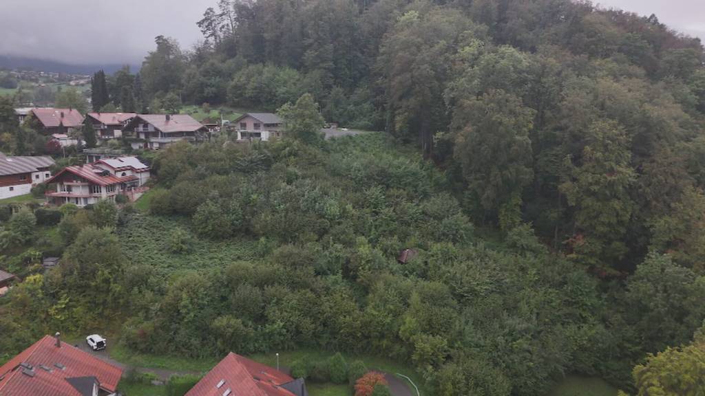 Geplantes Wohnhaus in Faulensee sorgt für Kritik