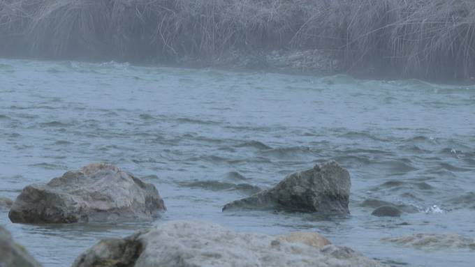 Neues Schutzgesetz für den Bielersee