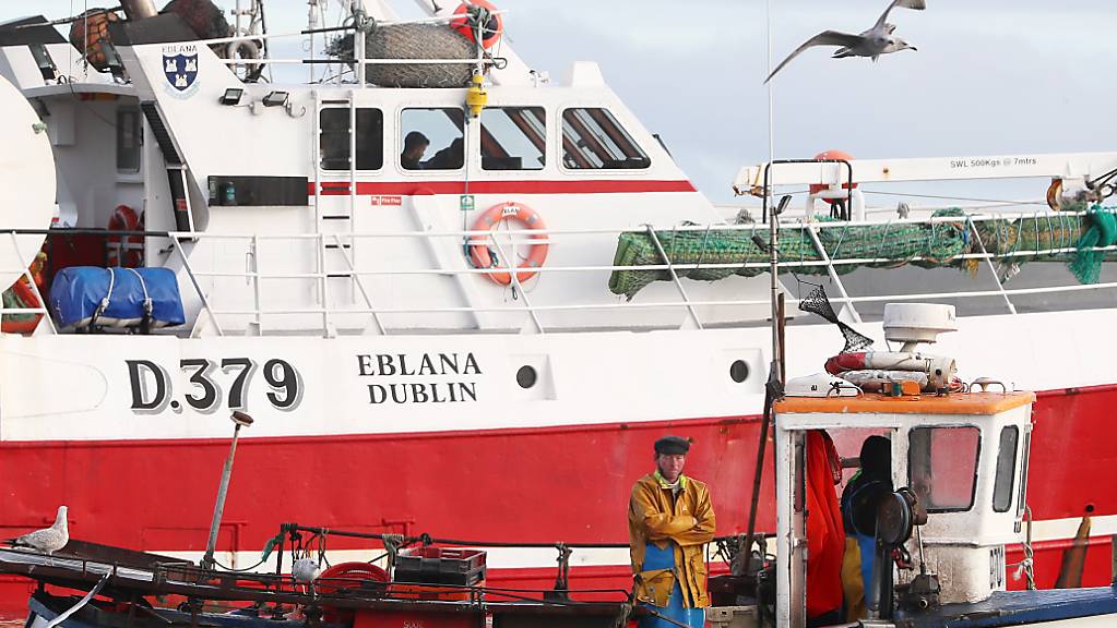 Ein Fischkutter fährt in den Hafen von Howth. Die irischen Küstengemeinden werden «ausgelöscht», wenn die britischen Fischereiforderungen nach dem Brexit erfüllt werden, so das irische Parlament. Foto: Brian Lawless/PA Wire/dpa