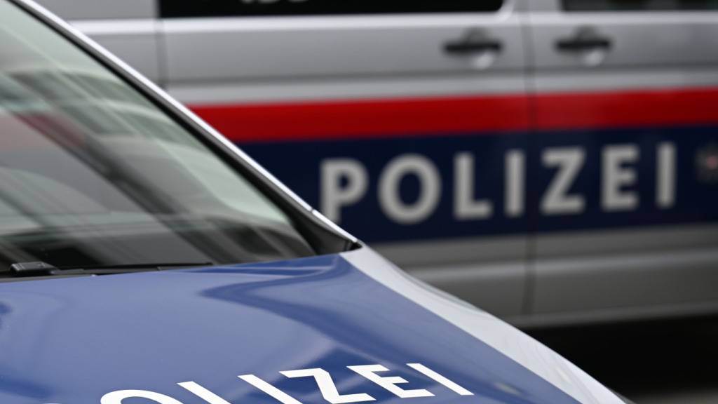 Die Vorarlberger Polizei nahm zwei Jugendliche fest. (Symbolbild)