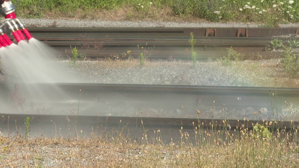 Heisse Gleise - SBB wegen Sommerhitze gefordert