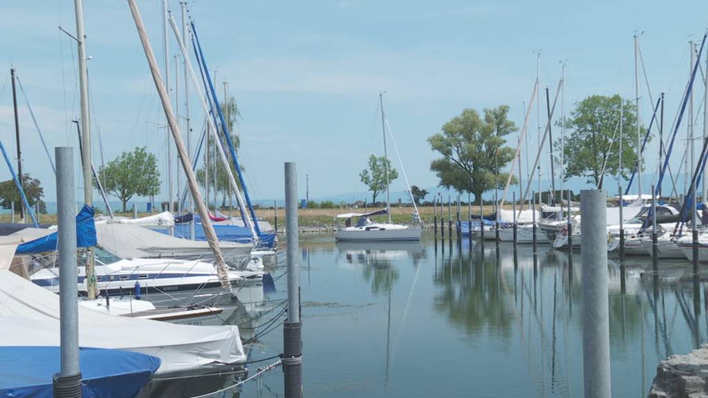 Böötler genervt: App-Ärger in Bodensee-Häfen