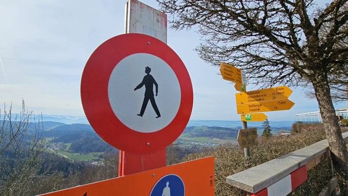 Kanton Zürich sperrt zwei Wege am Uetliberg wegen Felssturz