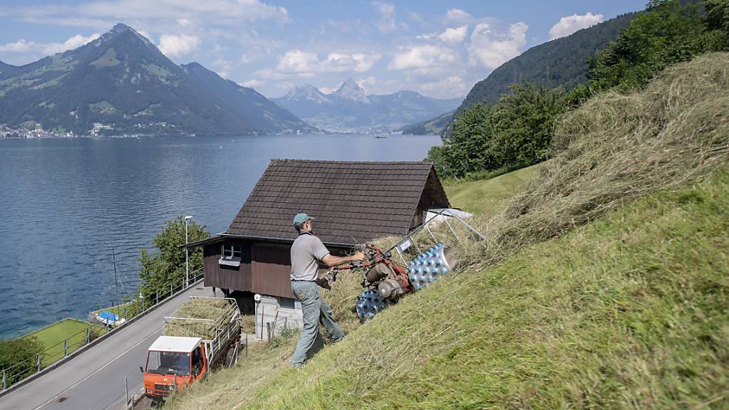 Der Landrat Nidwalden will bei der Landwirtschaft nicht sparen. (Archivaufnahme)