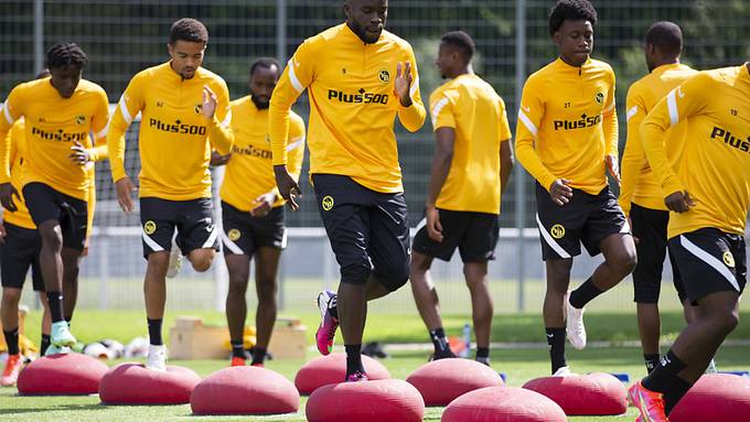 Die Young Boys treffen auf Slovan Bratislava