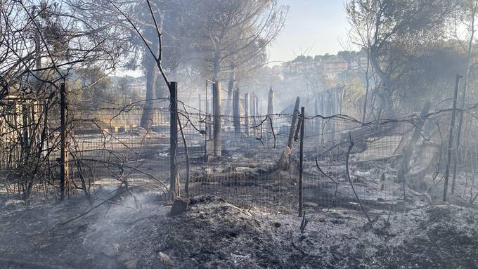 Brände gefährden Naturschutzgebiete und Landwirtschaft