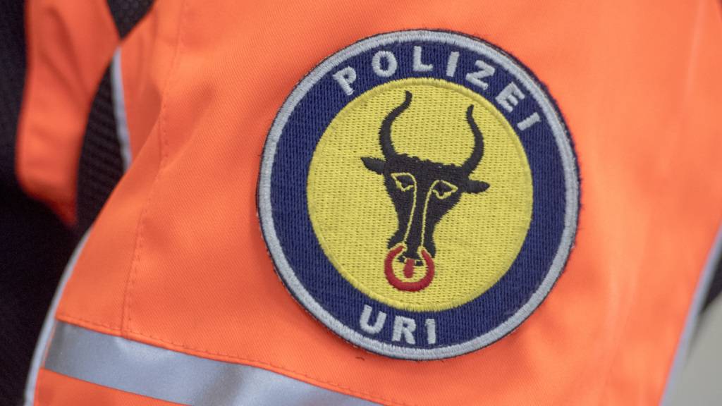 Der betrunkene Lastwagenfahrer aus Belarus erhielt ein Fahrverbot für die Schweiz. (Symbolbild)