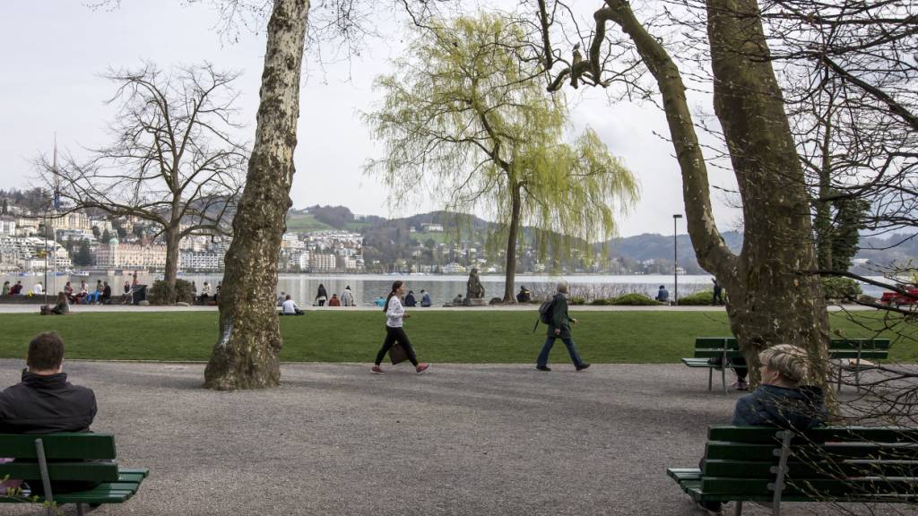Auf dem Inseli in der Stadt Luzern betreibt die Energieversorgerin EWL eine Zentrale ihres See-Energie-Netzes, das sie in den kommenden Jahren ausbauen will. (Archivbild)