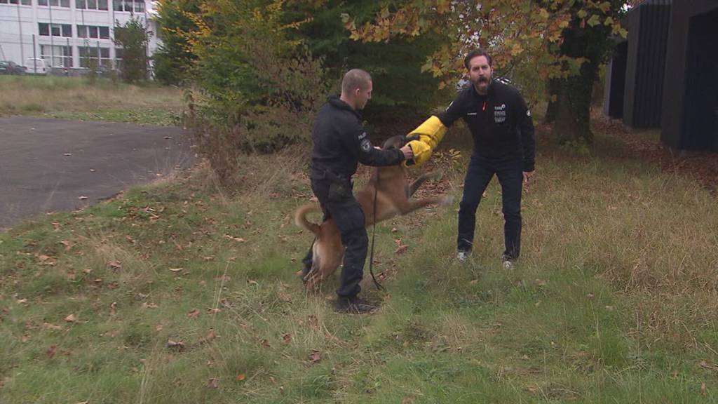 Unterwegs in Steinhausen