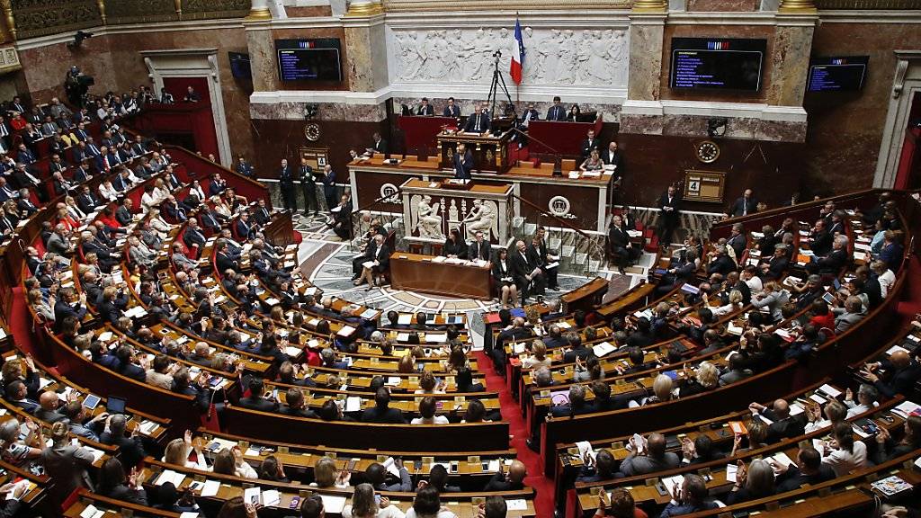 Die französische Nationalversammlung hat grünes Licht für Präsident Marcrons Arbeitsmarktreform über Verordnungen gegeben. (Archivbild)