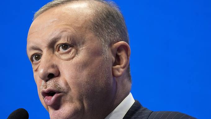 Erdogan in Ukraine - Vermittler im Konflikt mit Moskau?