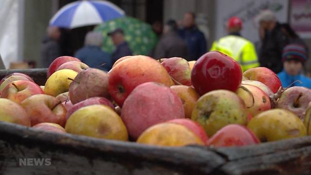 Traumjahr für Obst