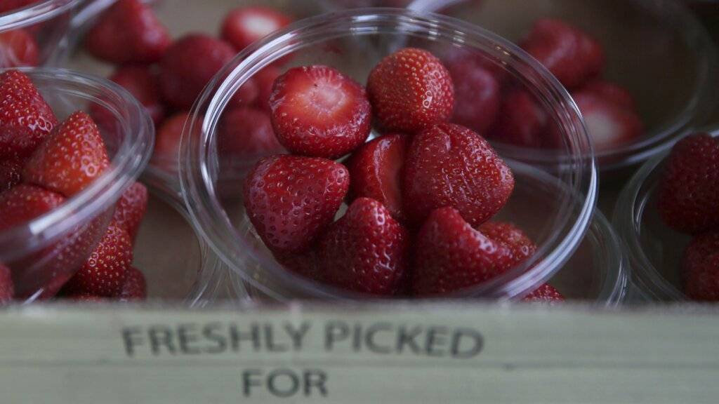 Schlange stehen, Erdbeeren essen und Pimm's trinken
