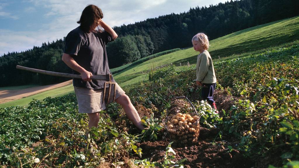 Kleine, vielfältige Felder und viele Menschen, die mithelfen: So stellt sich die Kleinbauernvereinigung die Zukunft der Landwirtschaft vor. (Symbolbild)
