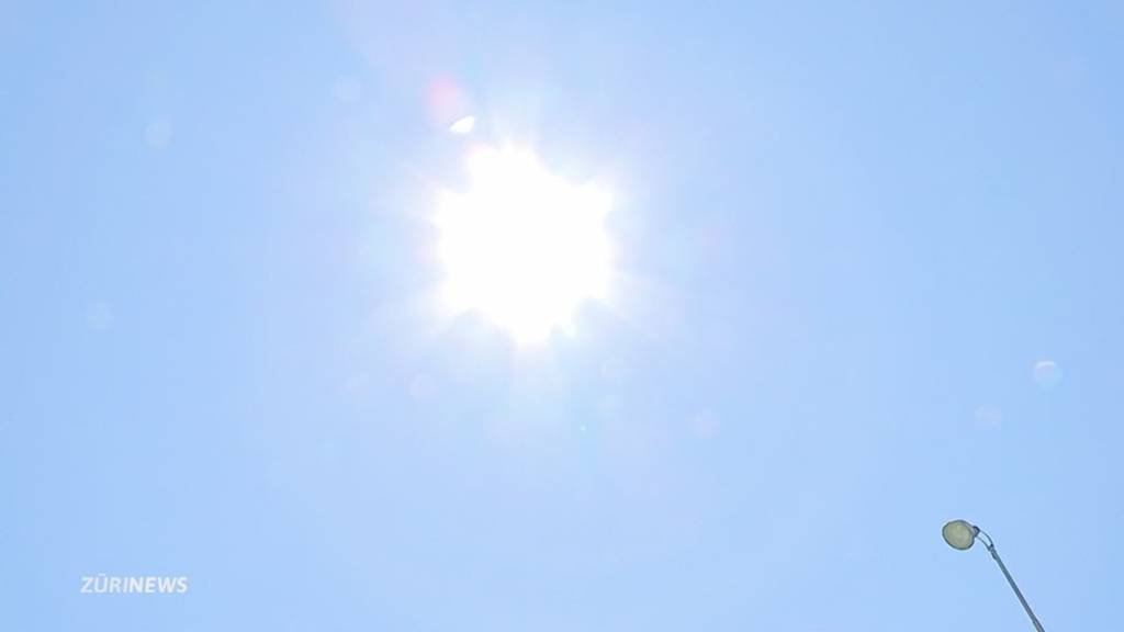 Grüne fordern nationale Klimakonferenz