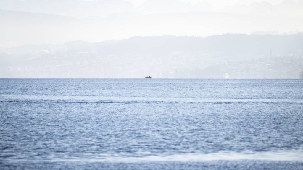 Das Zürcher Hochschulgebiet wird künftig mit Energie aus dem Zürichsee geheizt und gekühlt. (Archivbild)