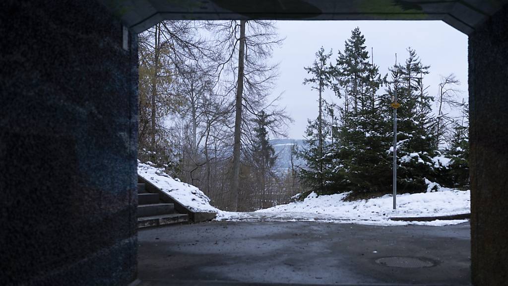 Die SBB wollen zehn Wegunterführungen auf der Bahnstrecke Luzern-Küssnacht-Immensee sanieren. (Symbolbild)