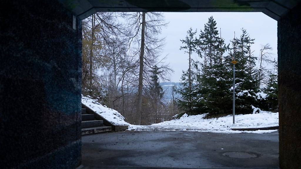 Die SBB wollen zehn Wegunterführungen auf der Bahnstrecke Luzern-Küssnacht-Immensee sanieren. (Symbolbild)