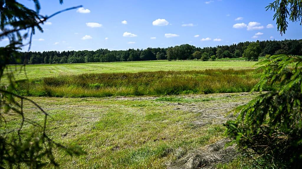 dpatopbilder - Eine teilweise abgemähte Wiese am Fundeort einer Kinderleiche im Landkreis Stade. Über zwei Monate nach dem Verschwinden des sechsjährigen Arian hat ein Landwirt im Norden Niedersachsens bei Mäharbeiten eine Kinderleiche gefunden. Foto: Sina Schuldt/dpa