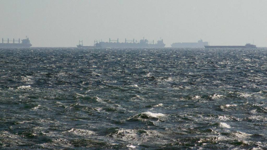 ARCHIV - Schiffe am Horizont warten auf Einlass in den Hafen Constanta. Wegen des russischen Angriffskriegs gegen die Ukraine wird der Transport des weltweit benötigten ukrainischen Weizens über ukrainische Schwarzmeer-Häfen behindert. Rumäniens Donaudelta ist Teil einer Alternativroute. Foto: Kathrin Lauer/dpa