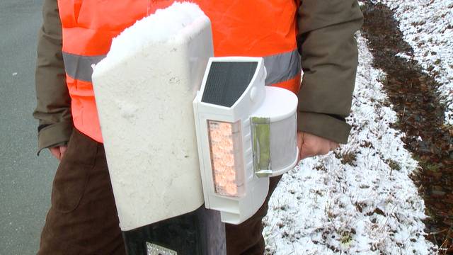 Weniger Wildunfälle dank Warnblinker-Pfosten?