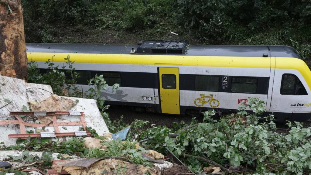 Ein entgleister Personenzug steht im Kreis Biberach zwischen den Ortsteilen Zwiefaltendorf und Zell. Foto: Thomas Warnack/dpa