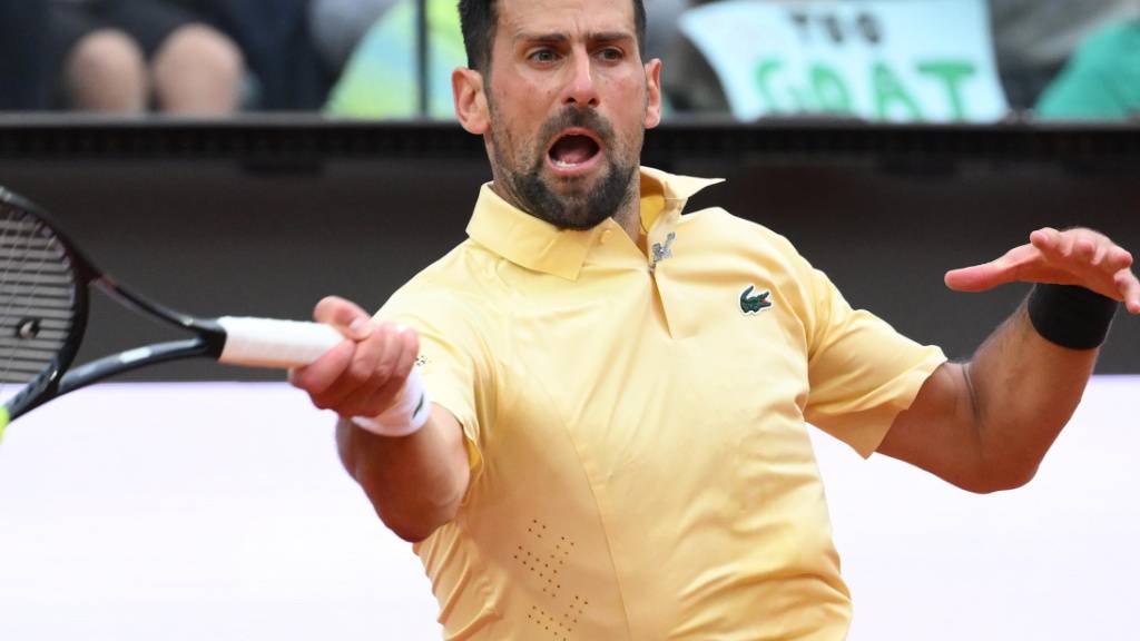 Novak Djokovic hat nun seinen Landsmann Viktor Troicki als Trainer an seiner Seite