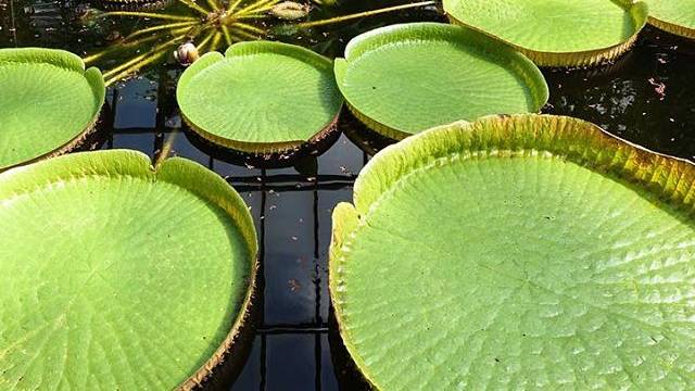 13643595_1646893832306443_164205171_n