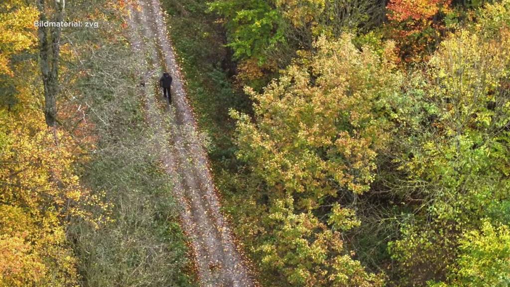 Drohnen im Einsatz für die Sicherheit