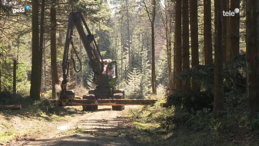 Schutz von Maschinen am Beispiel eines Luzerner Forstbetriebs