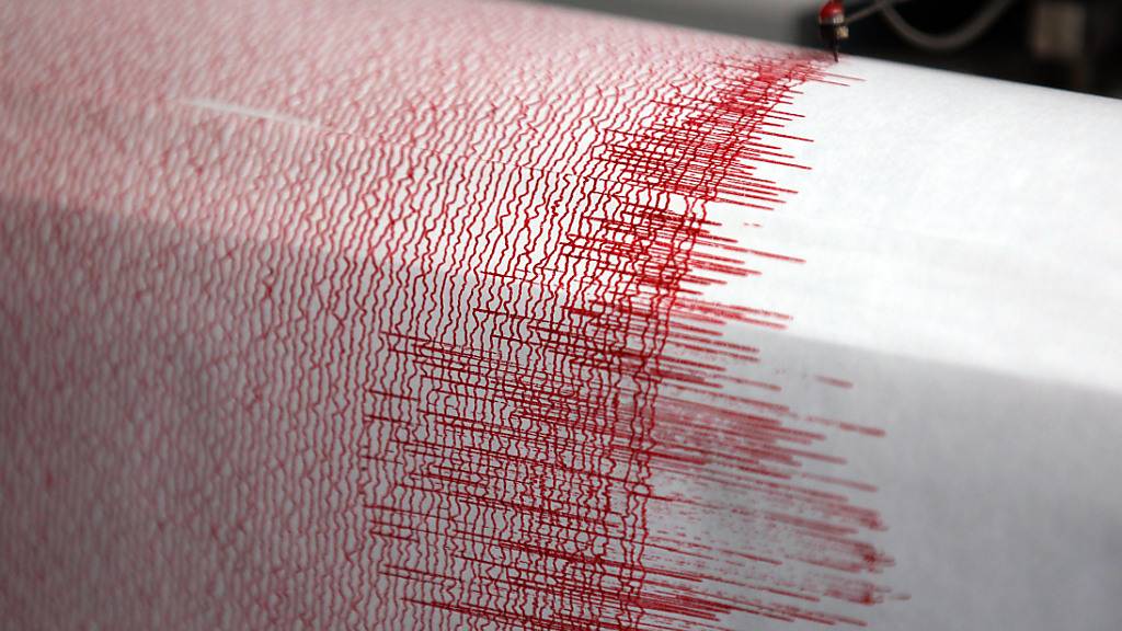 ARCHIV - Ein Seismograph verzeichnet Erdbebenwerte (Symbolbild). Foto: Oliver Berg/dpa