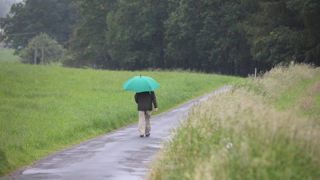 Auch für diese Woche ist vier Regen angesagt.