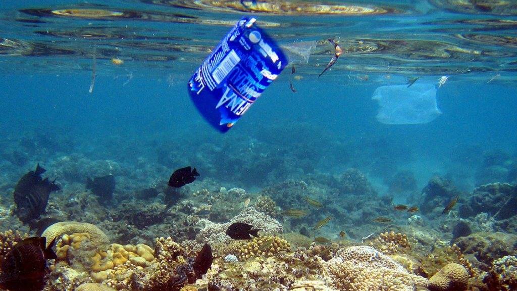 Plastikabfälle in den Weltmeeren verdrängen die Fische. Gemäss einer Studie könnte es im Jahr 2050 im Wasser mehr Plastik als Fische geben. (Symbolbild)