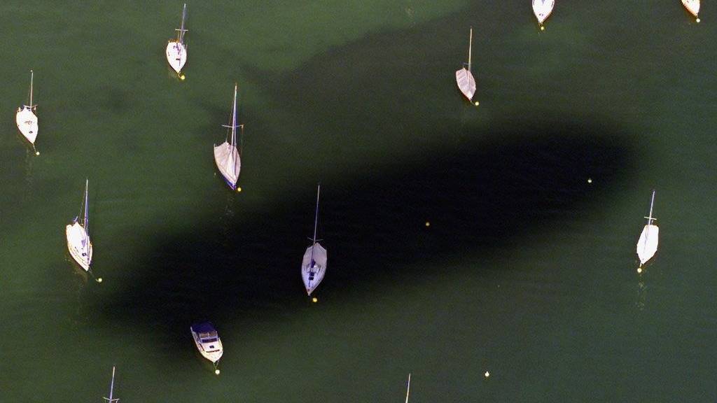 Auf dem Bodensee wurden mehrere Segelboot-Kapitäne vom Gewitter überrascht. (Archivbild)