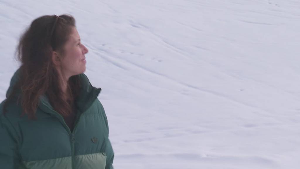 Petition fordert Funpark auf Stoos zurück