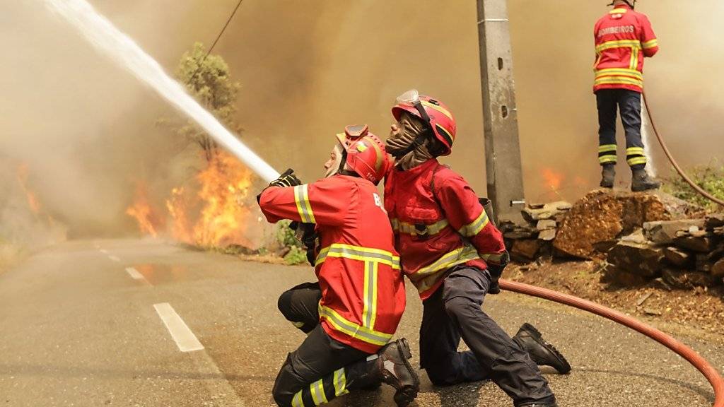 Portugiesische Feuerwehrleute im Einsatz in der Nähe des Ortes Sandinha