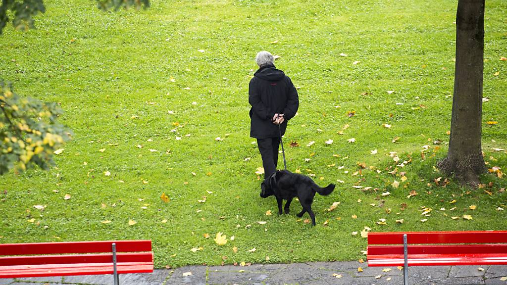 Kann ein Zeitgut-Mitglied seinen Hund nicht selbst spazieren führen, erhält Hilfe von einem anderen Genossenschafter. (Symbolbild)