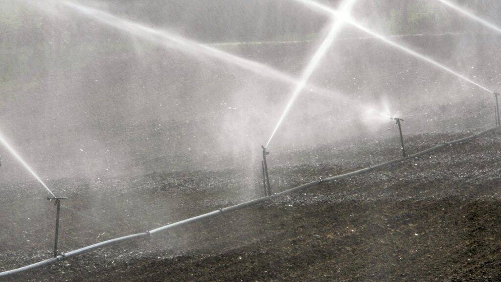 Bauern fürchten sich vor ausbleibenden Ernten, weil die französische Regierung zum Wassersparen anhält. (Symbolbild)