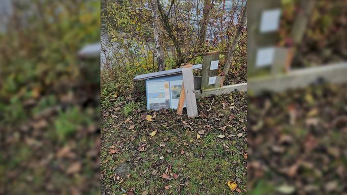 Nach Vandalismus: Betreiber von Biberlehrpfad erstatten Anzeige