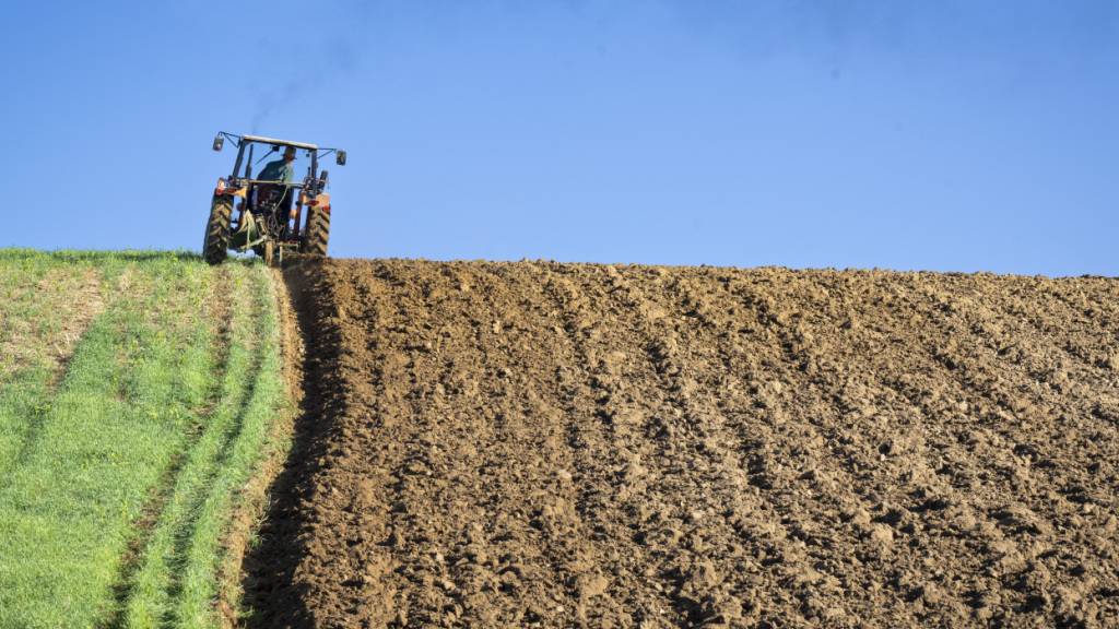 Thema des grenzüberschreitenden Projekts in der Landwirtschaft war die Förderung der Fruchtbarkeit von Böden. (Archivbild)