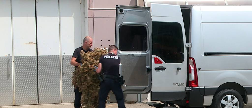 «Über 200 Polizisten stürmten das Haus» – Kapo stellt bei Grosseinsatz Hanf sicher