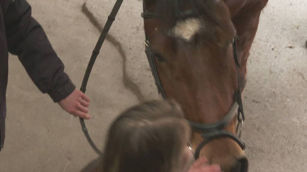 Fall Hefenhofen – wir besuchen ein Pferd, welches nach der Räumung des Tierquäler-Hofs versteigert wurde
