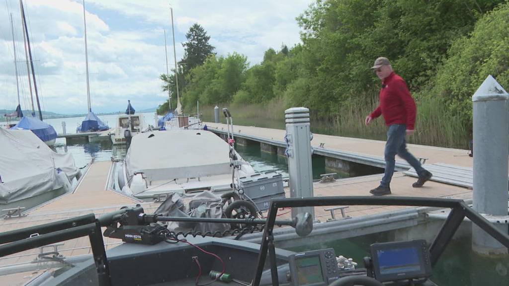 Bootdiebe: Am Hallwilersee häufen sich Diebstähle aus Booten trotz abgeschlossener Stege
