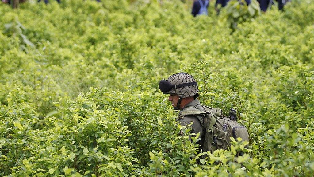 Die Polizei in Kolumbien hat 15 mutmassliche Mitglieder eines Drogenkartells festgenommen. (Archivbild)
