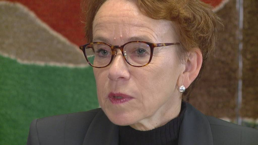 Diese SP-Frauen kandidieren für Bundesrat