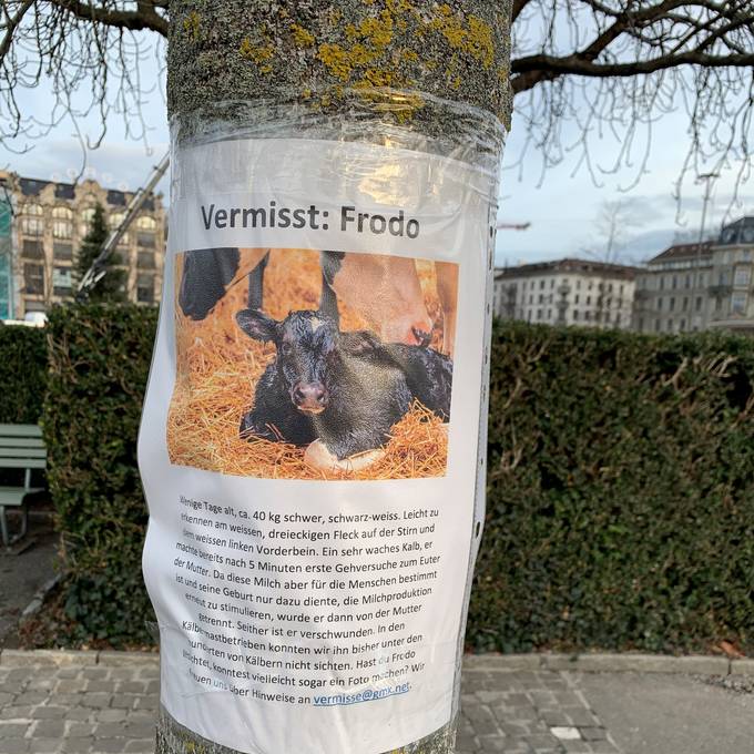 «Frodo ist verschwunden» – Aktivisten streuen in Zürich Suchinserate 