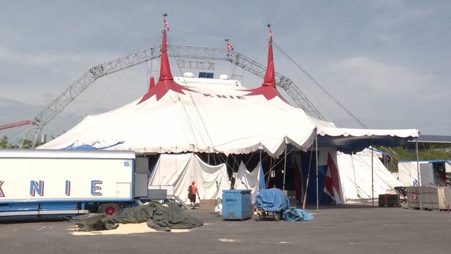 Berner Allmend: Zirkus Knie verspricht Show-Neuheiten