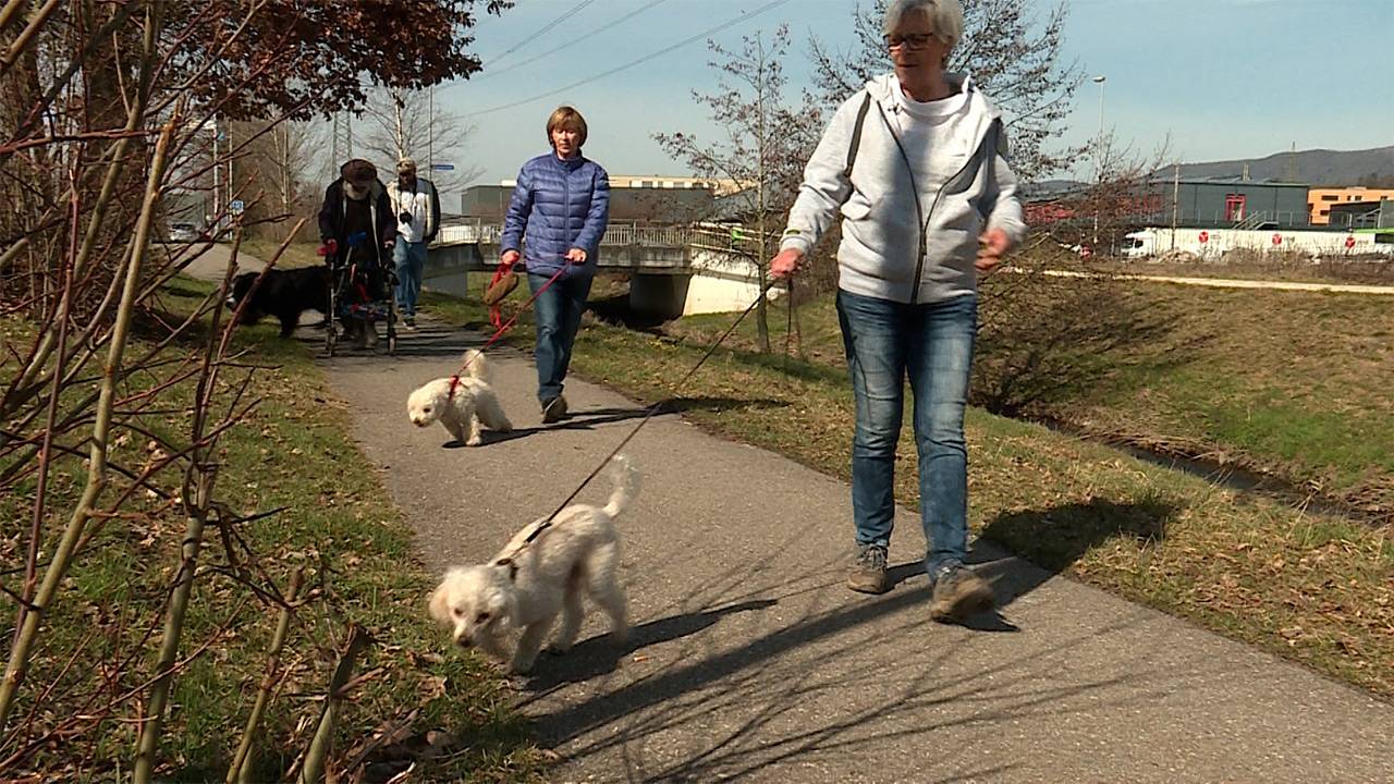 «Pensionäre-auf-Hundetour»