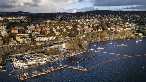 Stadt Zürich soll neue «Marina» im Tiefenbrunnen erhalten
