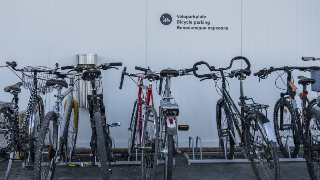 Status S für Ukraine-Flüchtlinge hängt neu von Herkunftsregion ab